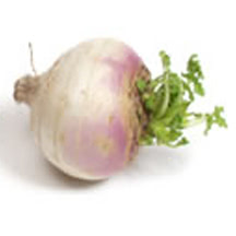 Turnip Featured Image