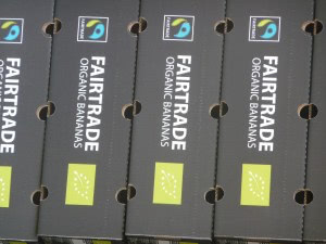 Fair Trade Organic Banana Cases in Peru