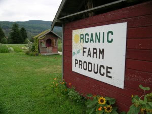 Organic Farm Produce