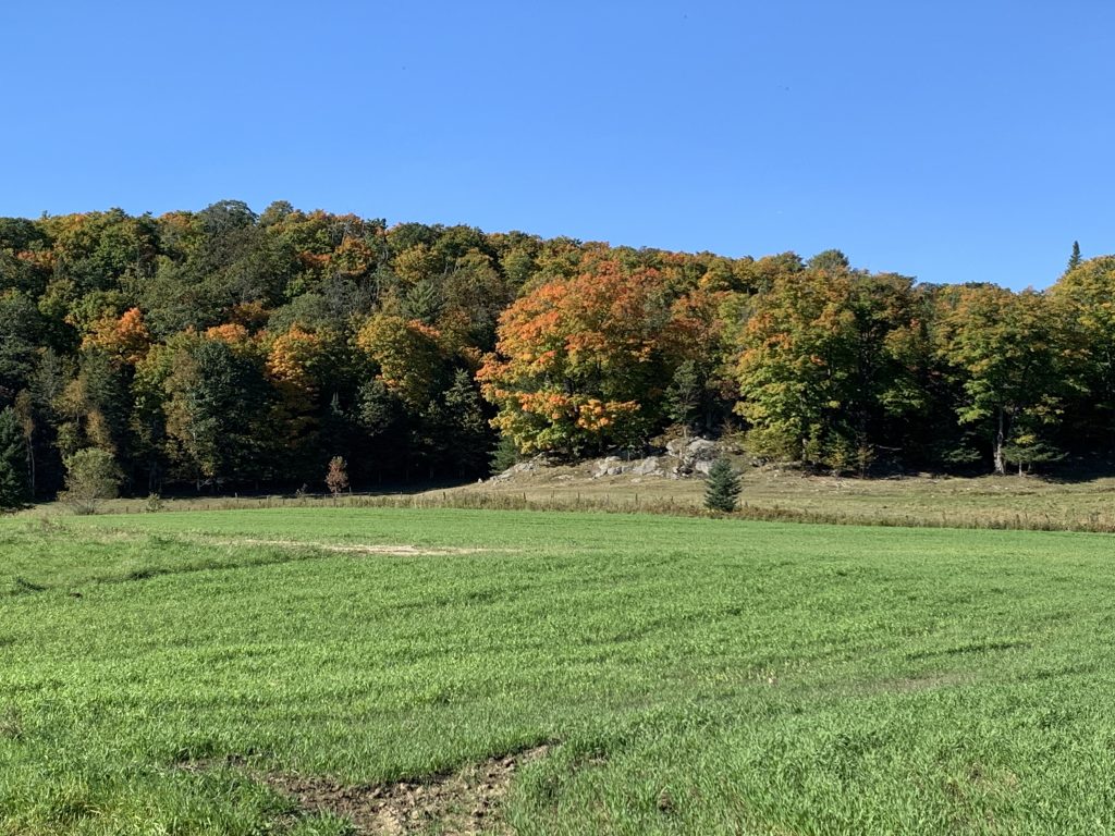 Local Farms Ottawa